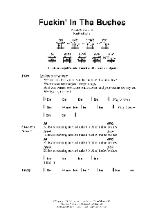 F***in' In The Bushes von Oasis (Download) 