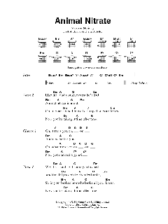 Animal Nitrate von Suede (Download) 