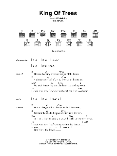 King Of Trees (Download) 