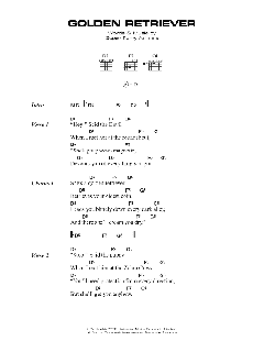 Golden Retriever von Super Furry Animals (Download) 