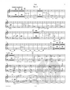 Ein deutsches Requiem op. 45 von Johannes Brahms für Soli (SBar), gemischten Chor und Orchester im Alle Noten Shop kaufen (Einzelstimme) - EP3670ORG