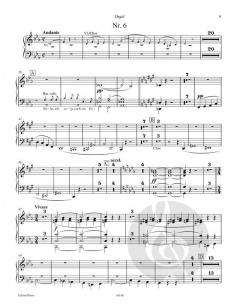 Ein deutsches Requiem op. 45 von Johannes Brahms für Soli (SBar), gemischten Chor und Orchester im Alle Noten Shop kaufen (Einzelstimme) - EP3670ORG