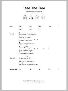 Feed The Tree (Download) 