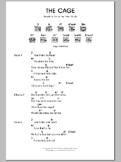 The Cage von Travis (Download) 