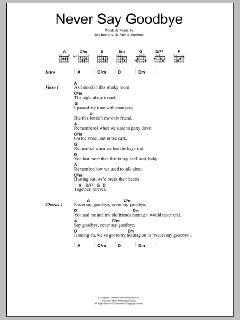 Never Say Goodbye von Bon Jovi (Download) 