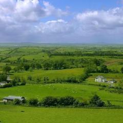 The Fields Of Athenry (Download) 