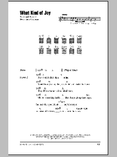 What Kind Of Joy von Steven Curtis Chapman (Download) 