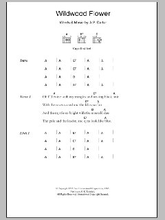 Wildwood Flower (Download) 