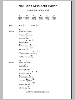 You Don't Miss Your Water von William Bell (Download) 