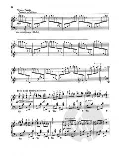 Ungarische Rhapsodie Nr. 2 cis-Moll von Franz Liszt 