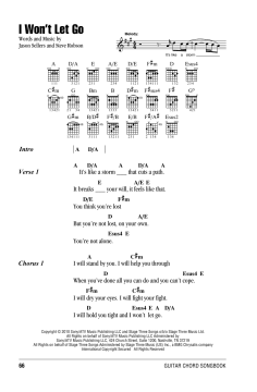 I Won't Let Go von Rascal Flatts (Download) 