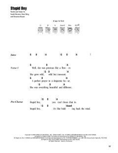 Stupid Boy von Keith Urban (Download) 