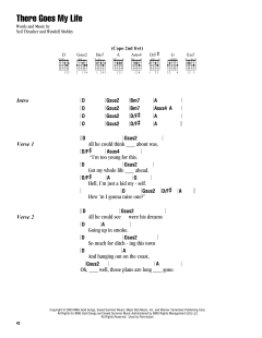 There Goes My Life von Kenny Chesney (Download) 