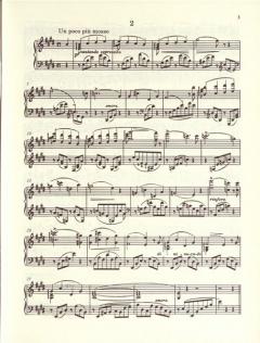 Consolations / Liebesträume von Franz Liszt 