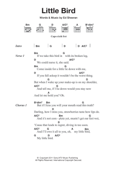 Little Bird von Ed Sheeran (Download) 
