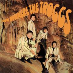 Wild Thing von The Troggs (Download) 