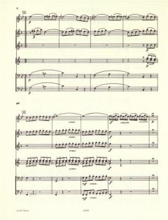 Partita B-Dur (Franz Anton Rösler) 