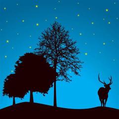 Silent Night von Joseph Mohr (Download) 