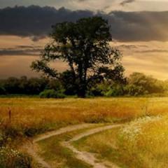 I've Found A Friend, O Such A Friend! von George C. Stebbins (Download) 