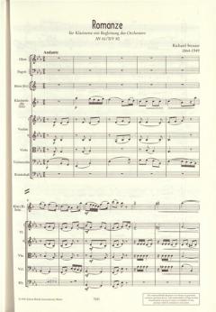 Konzerte und Konzertstücke Band 1 von Richard Strauss 