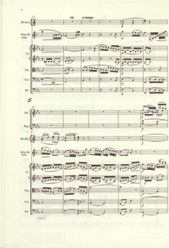 Konzerte und Konzertstücke Band 1 von Richard Strauss 