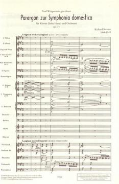 Konzerte und Konzertstücke Band 2 von Richard Strauss 