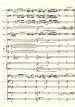 Konzerte und Konzertstücke Band 2 von Richard Strauss 