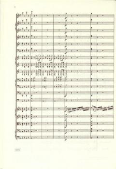 Sonstige Orchesterwerke Band 1 von Richard Strauss im Alle Noten Shop kaufen (Partitur)