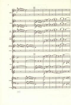 Werke für kleinere Ensembles Band 2 von Richard Strauss 