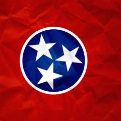 Cotton Eyed Joe von Tennessee Folksong (Download) 