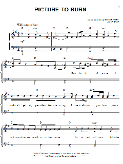 Picture To Burn von Taylor Swift (Download) 