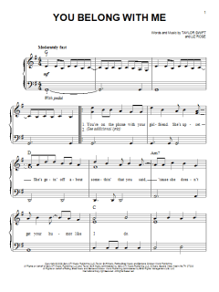 You Belong With Me von Taylor Swift (Download) 