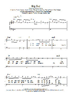 Big Sur von The Thrills (Download) 