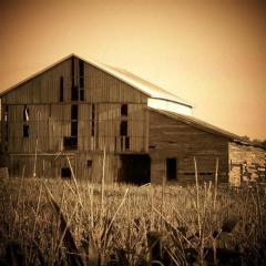 Indiana (Back Home Again In Indiana) von Ballard MacDonald (Download) 