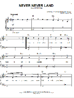 Never Never Land von Betty Comden (Download) 