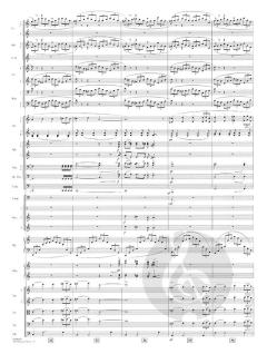 The Mission (N.B.C. News Theme) Deluxe Score von John Williams 