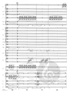 Sayuri's Theme (From Memoirs of A Geisha) Deluxe Score von John Williams 