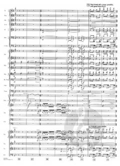 Sayuri's Theme (From Memoirs of A Geisha) Deluxe Score von John Williams 