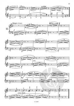 24 Piccoli Studi Facili e Progressivi For Piano von Ettore Pozzoli 