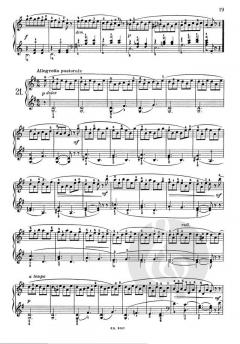 24 Piccoli Studi Facili e Progressivi For Piano von Ettore Pozzoli 