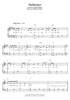 Reflection von David Zippel (Download) 