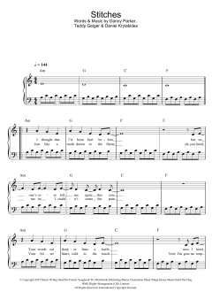 Stitches von Shawn Mendes (Download) 