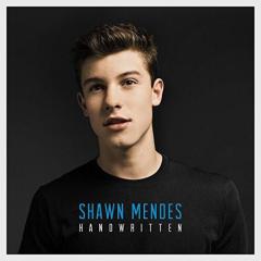Stitches von Shawn Mendes (Download) 