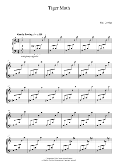 Tiger Moth (Download) 