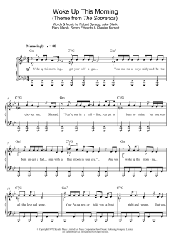 Woke Up This Morning (Theme from The Sopranos) von Jake Black (Download) 