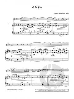 Die klassische Geige 