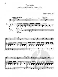 Die klassische Geige 