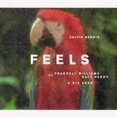 Feels von Pharrell Williams (Download) 