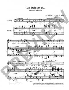 Heimliche Lieder der Nacht op. 54 von Joseph Haas 