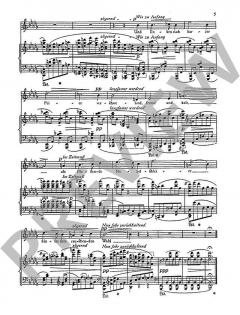 Heimliche Lieder der Nacht op. 54 von Joseph Haas 